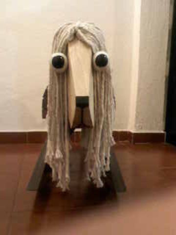 Leon mecedor